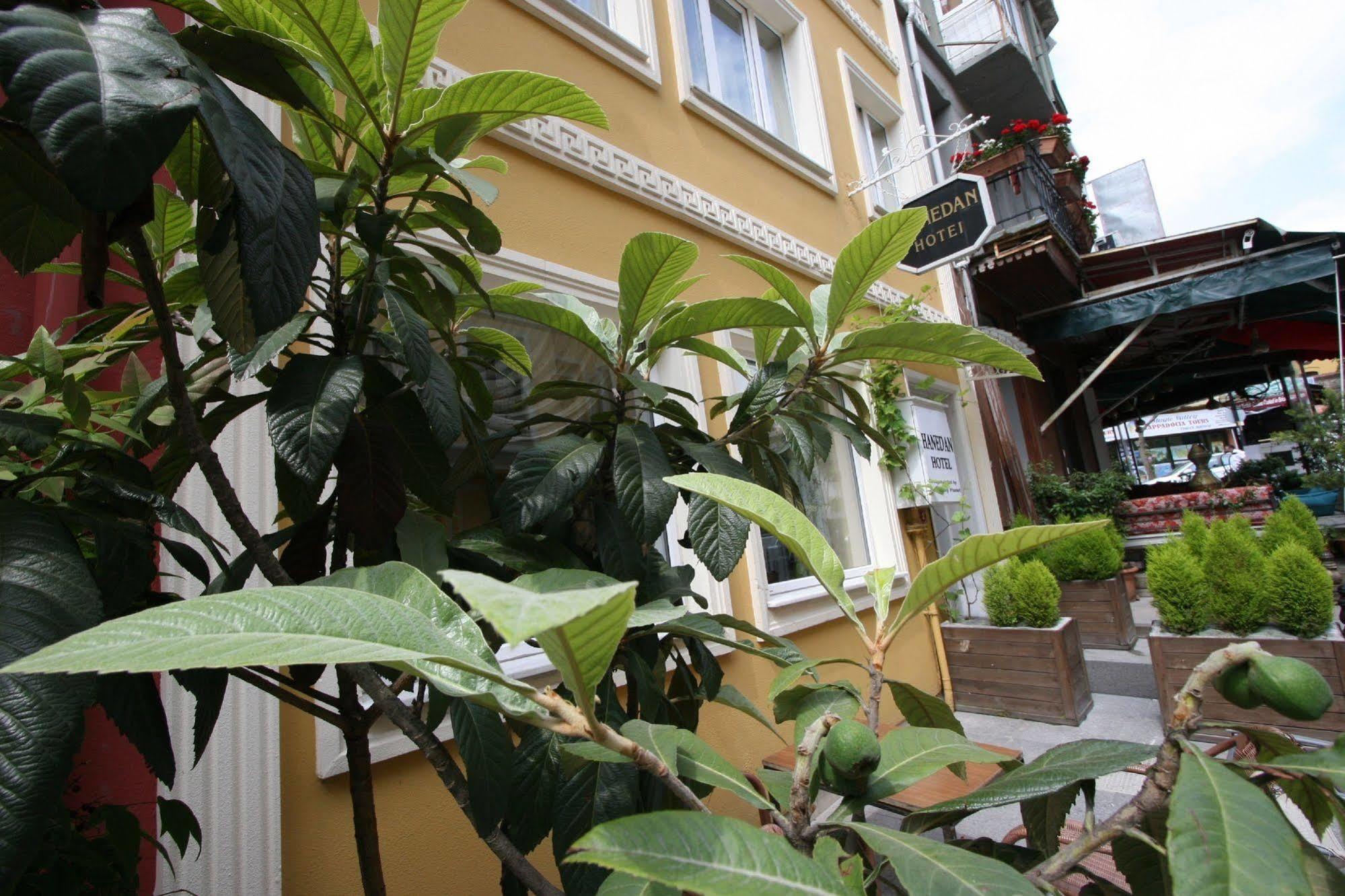 Hanedan Hotel Istanbul Exterior photo
